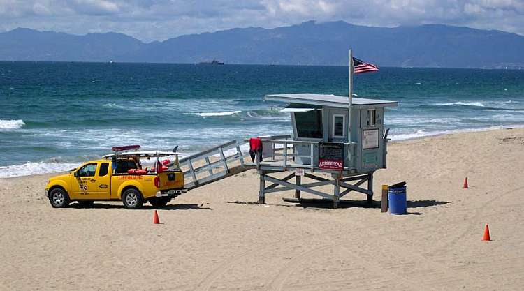 Bay Watch